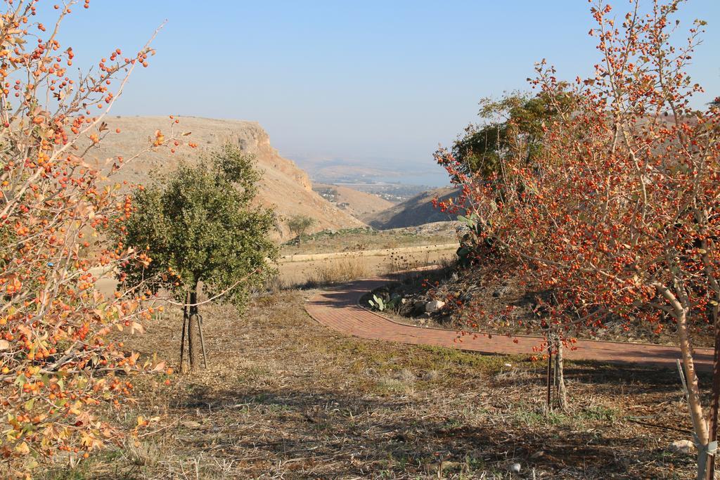 Pensjonat Switzerland In The Arbel Zewnętrze zdjęcie